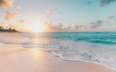 A photo of a white sand beach shore